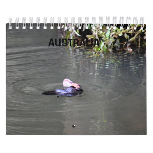 PLATYPUS AUSTRALIA CALENDAR