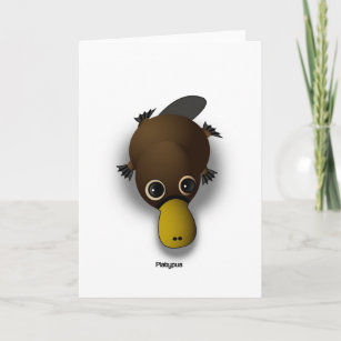 platypus card