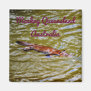 PLATYPUS EUNGELLA NATIONAL PARK AUSTRALIA MAGNET