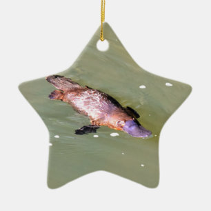 PLATYPUS IN WATER EUNGELLA AUSTRALIA CERAMIC TREE DECORATION