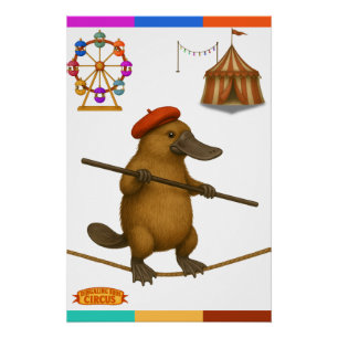 Platypus on a tightrope poster