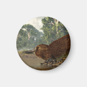 Platypus on the Shore Magnet