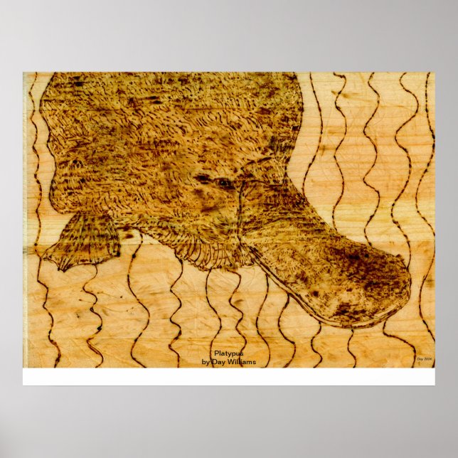 Platypus Poster (Front)