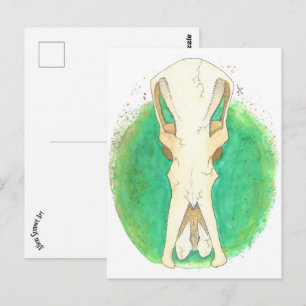 Platypus Skull Postcard