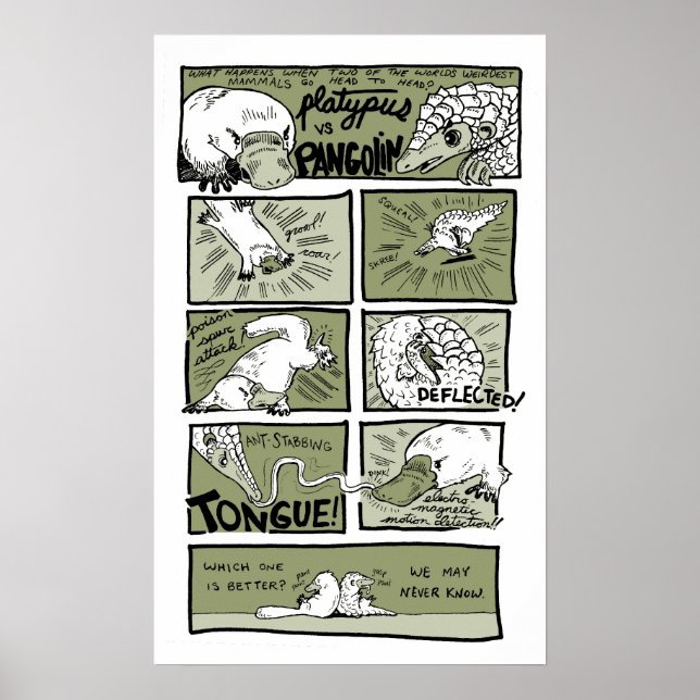 Platypus vs. Pangolin Poster (Front)