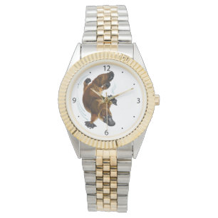 platypus watch