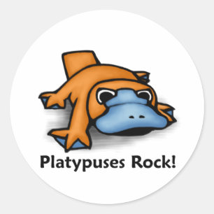 Platypuses Rock! Classic Round Sticker