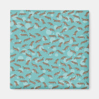 Platypuses  Swimming