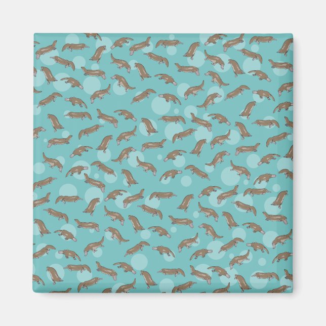 Platypuses  Swimming Magnet (Front)