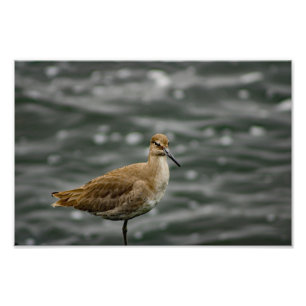 Play Del Rey Photo Print