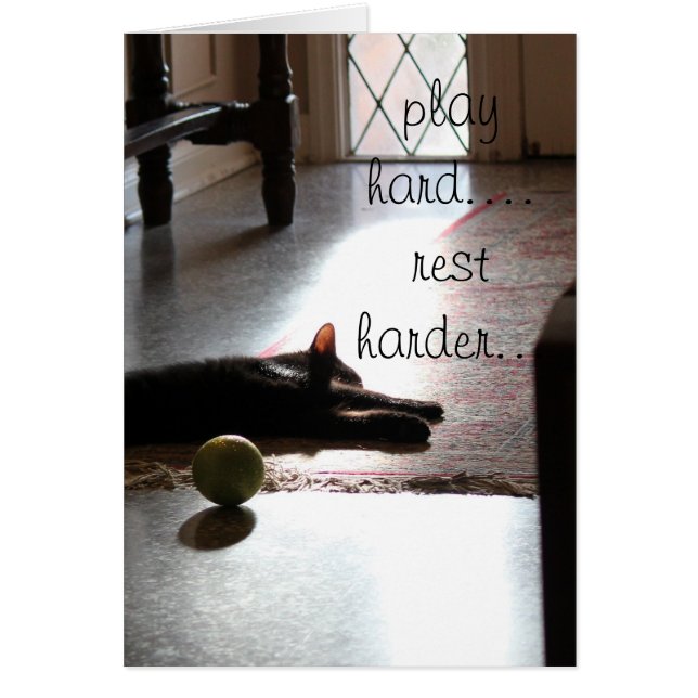 play hard... rest harder sleeping kitty w/ toy (Front)