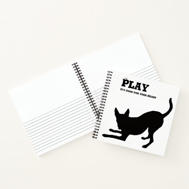 Play Hardcover Notebook (Inside)