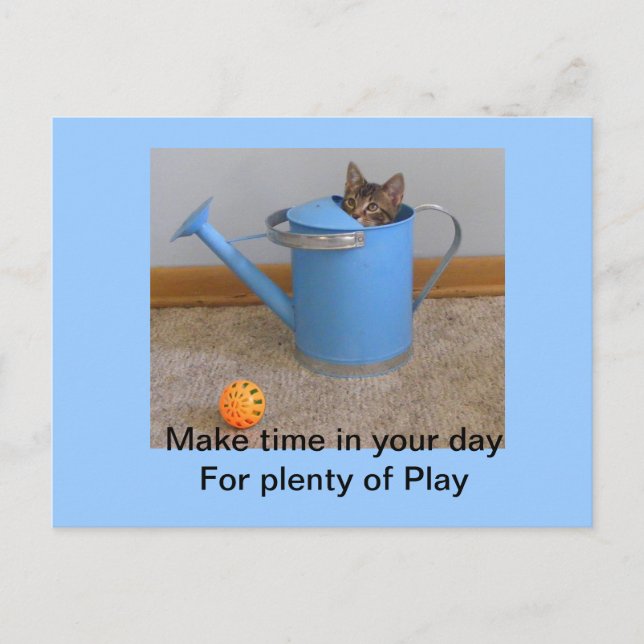 Play kitty Postcard (Front)