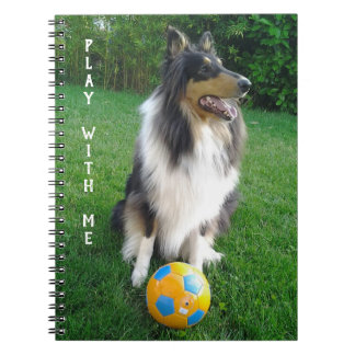 Play with me. Fans de football. Notebook