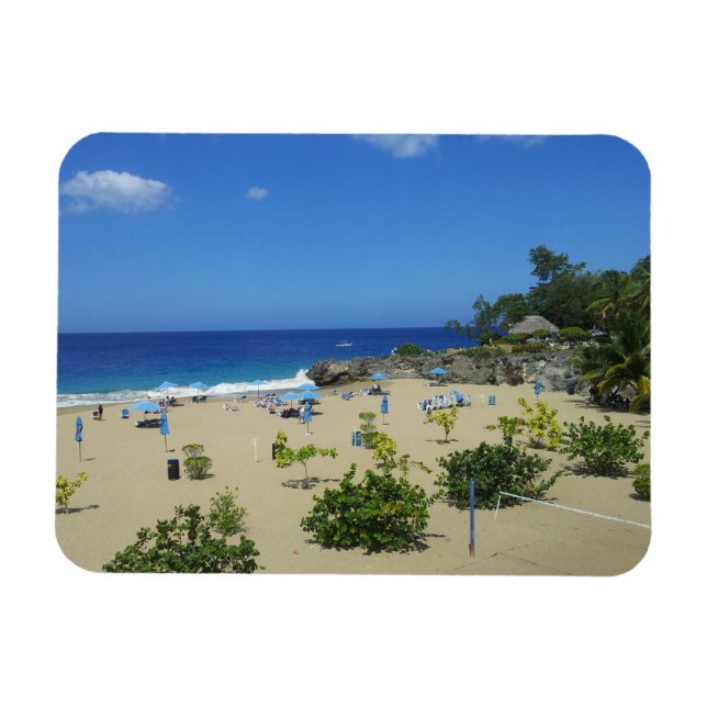 PLAYA ALCIA BEACH SOSUA DOMINICAN REPUBLIC SURF OC MAGNET (Horizontal)