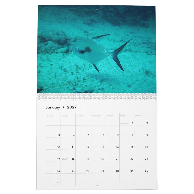 Playa del Carmen, Mexico Calendar (Jan 2027)