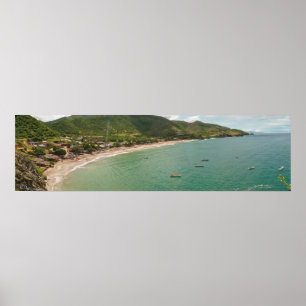 Playa Manzanillo, Daisy (Venezuela) Poster