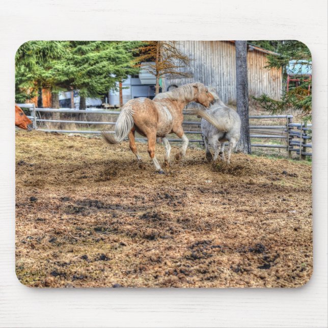 Playfighting Palomino & White Ranch Horse Mouse Pad (Front)