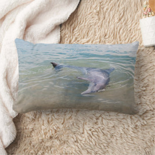 Playful and curious dolphin cushion