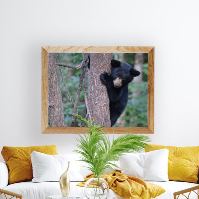 Playful Baby Black Bear Cub in Tree Photo Poster (Creator Uploaded)