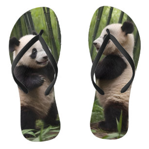 Playful Baby Pandas In A Bamboo Forest,  Jandals