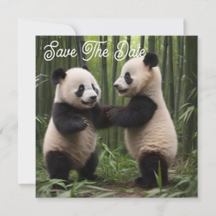 Playful Baby Pandas In A Bamboo Forest, Save The Date