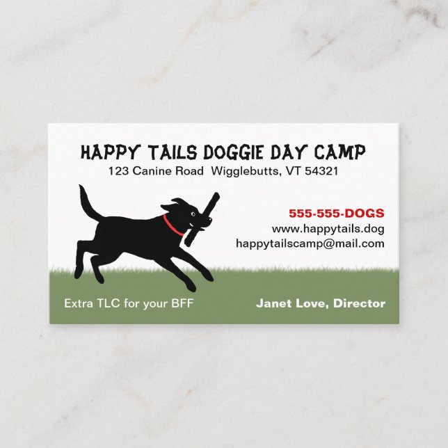Playful Black Labrador Retriever | Dog Pet Care Business Card (Front)