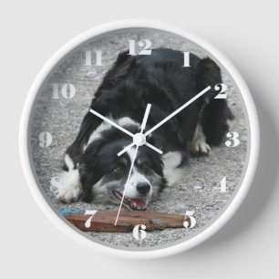 Playful Border Collie Sheep Dog Clock