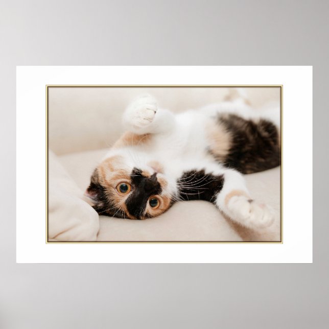 Playful Cat Poster (Front)