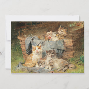 Playful Cats   Julius Adam the Younger