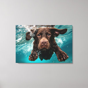 Playful Chocolate Labrador Swimming Underwater Canvas Print