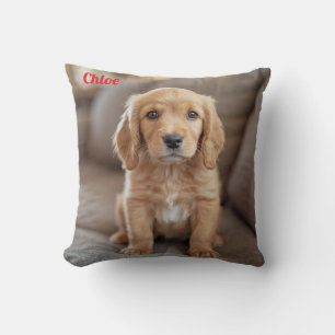 Playful Cocker Spaniel Cushion