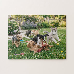 Playful Cute Puppies Playing in the Yard Jigsaw Puzzle