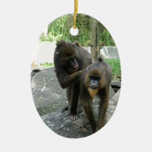 Playful, cute, smart and friendly baboons ceramic tree decoration
