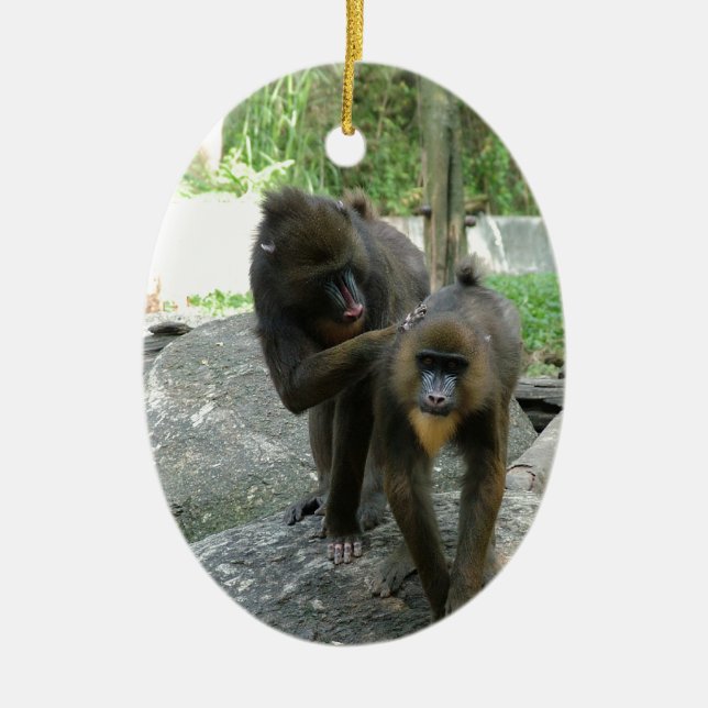Playful, cute, smart and friendly baboons ceramic tree decoration (Front)