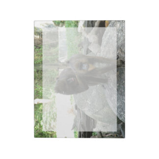 Playful, cute, smart and friendly baboons notepad