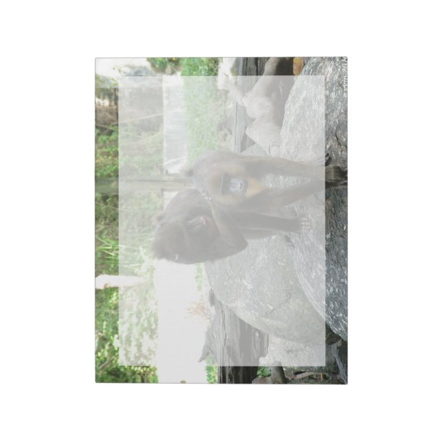 Playful, cute, smart and friendly baboons notepad (Rotated)