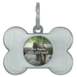 Playful, cute, smart and friendly baboons pet name tag