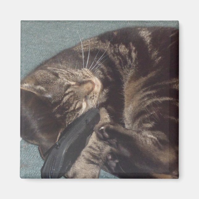 Playful Dave 5.1 Cm Square Magnet (Front)