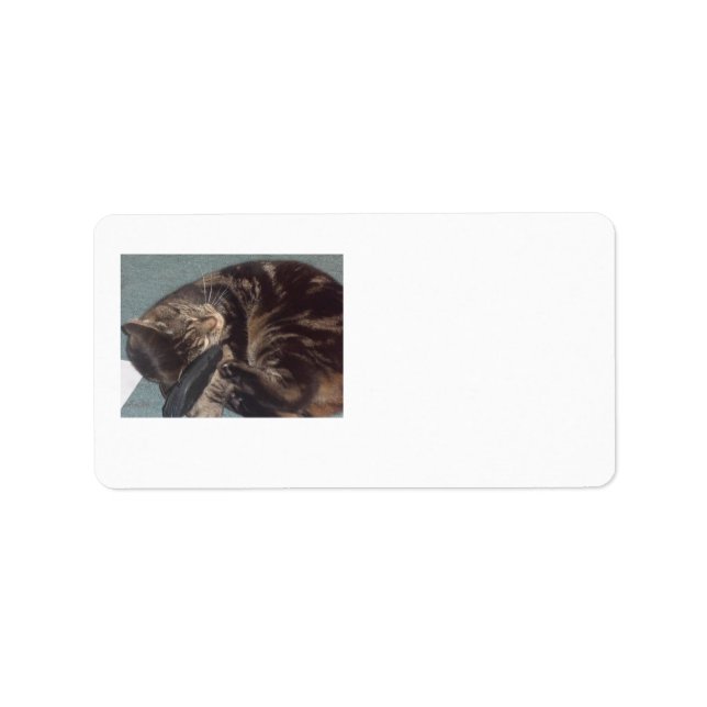 Playful Dave Address Labels (18 on a sheet) (Front)