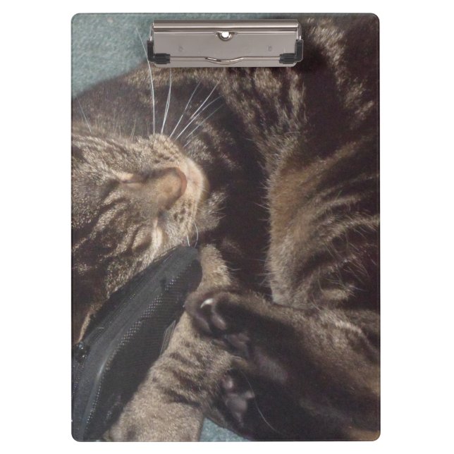 Playful Dave Clipboard (Front)