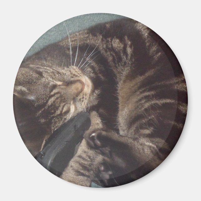 Playful Dave Large, 7.6 Cm Round Magnet (Front)