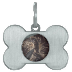Playful Dave Pet Tag