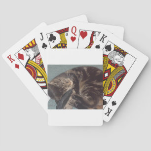 Playful Dave Playing Cards