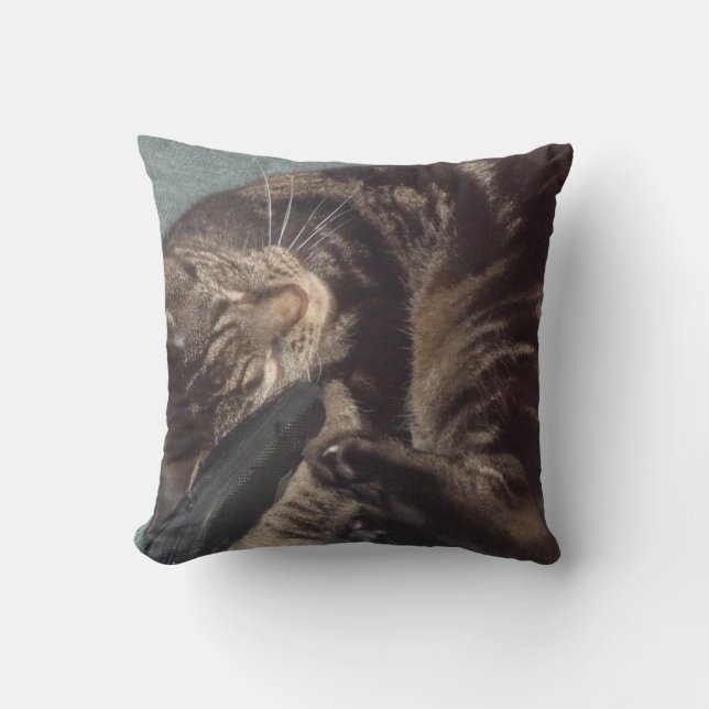 Playful Dave Throw Cushion (Front)