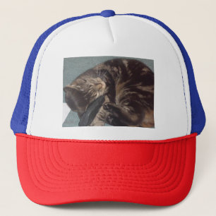 Playful Dave Trucker Hat