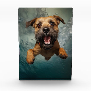 Playful Dog Swimming Underwater Design Photo Block