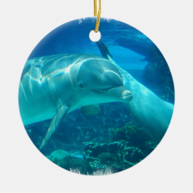 Playful Dolphins Ornaments (Front)