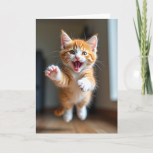 Playful Feline Birthday Card
