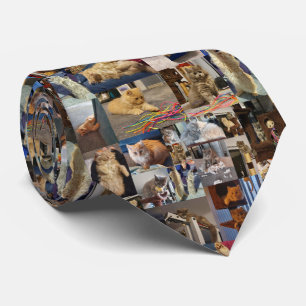 Playful Fluffy Kittens Photo Collage, Tie